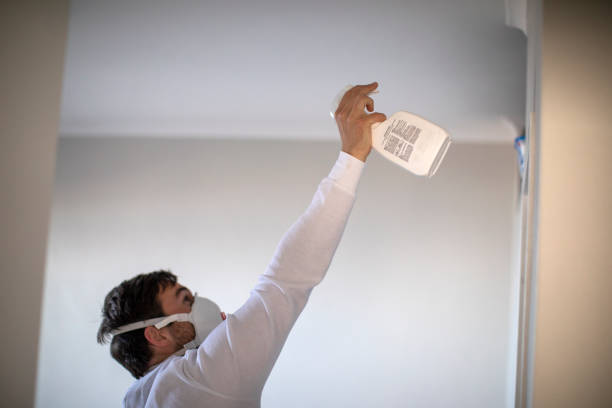 Best Mold Damage Repair  in Melody Hill, IN