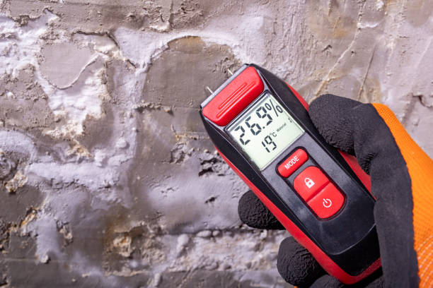 Best Water Damage Restoration  in Melody Hill, IN