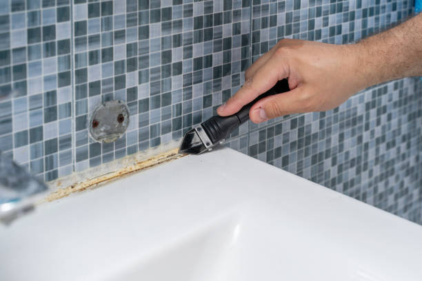 Best Best Mold Removal Companies  in Melody Hill, IN